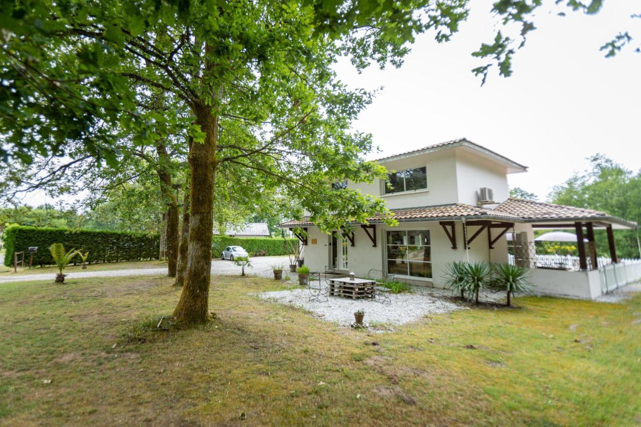 La Villa Minvia Les Landes Entre Mer Et Montagne Saint-Vincent-de-Paul  Exterior foto